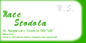 mate stodola business card